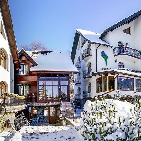 Pensiunea Crocus - Sauna & Billiard Poiana Brasov Exteriör bild