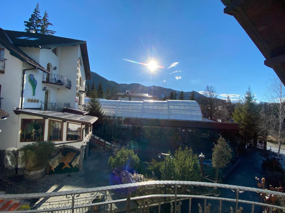 Pensiunea Crocus - Sauna & Billiard Poiana Brasov Exteriör bild