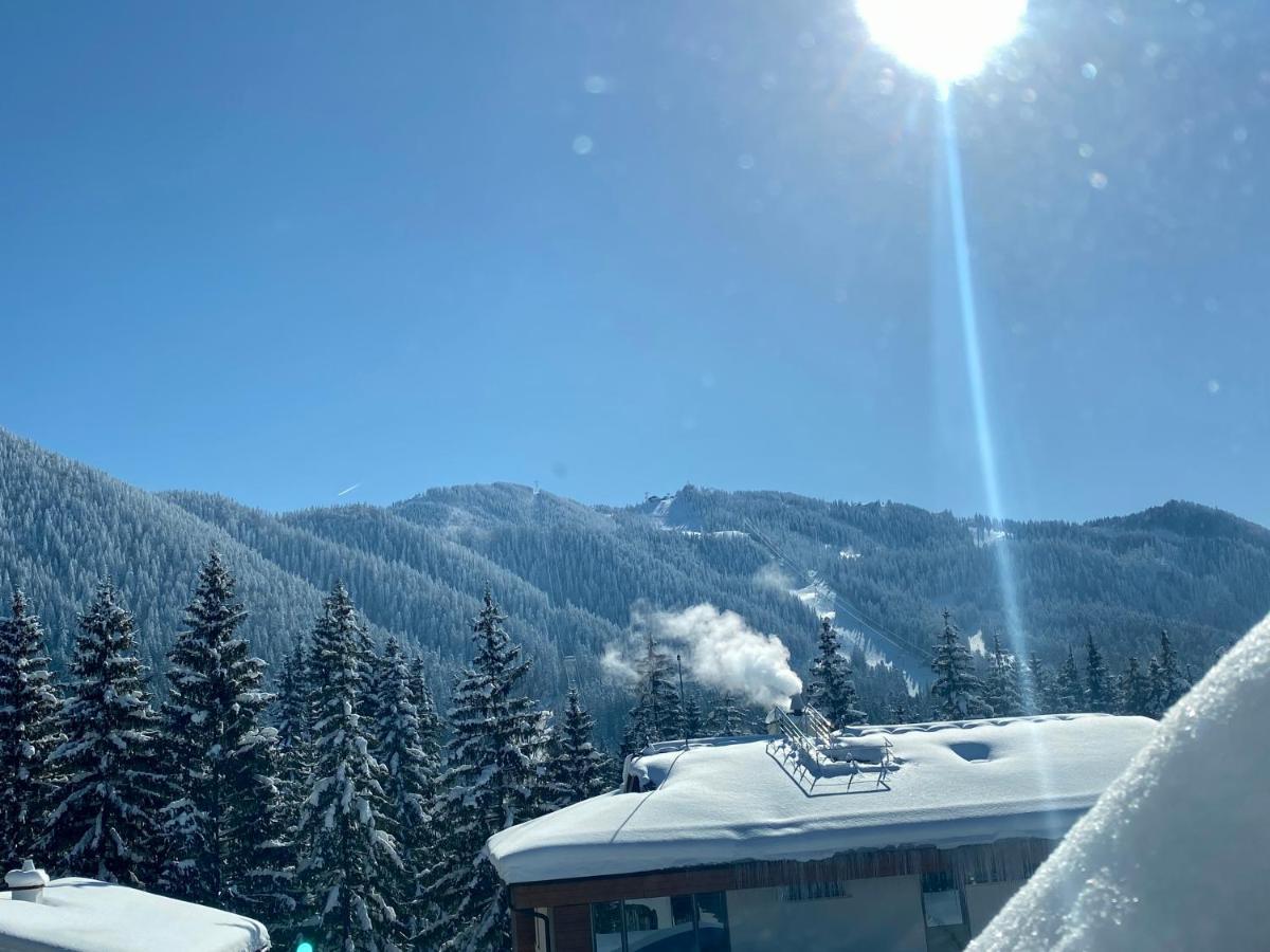 Pensiunea Crocus - Sauna & Billiard Poiana Brasov Exteriör bild