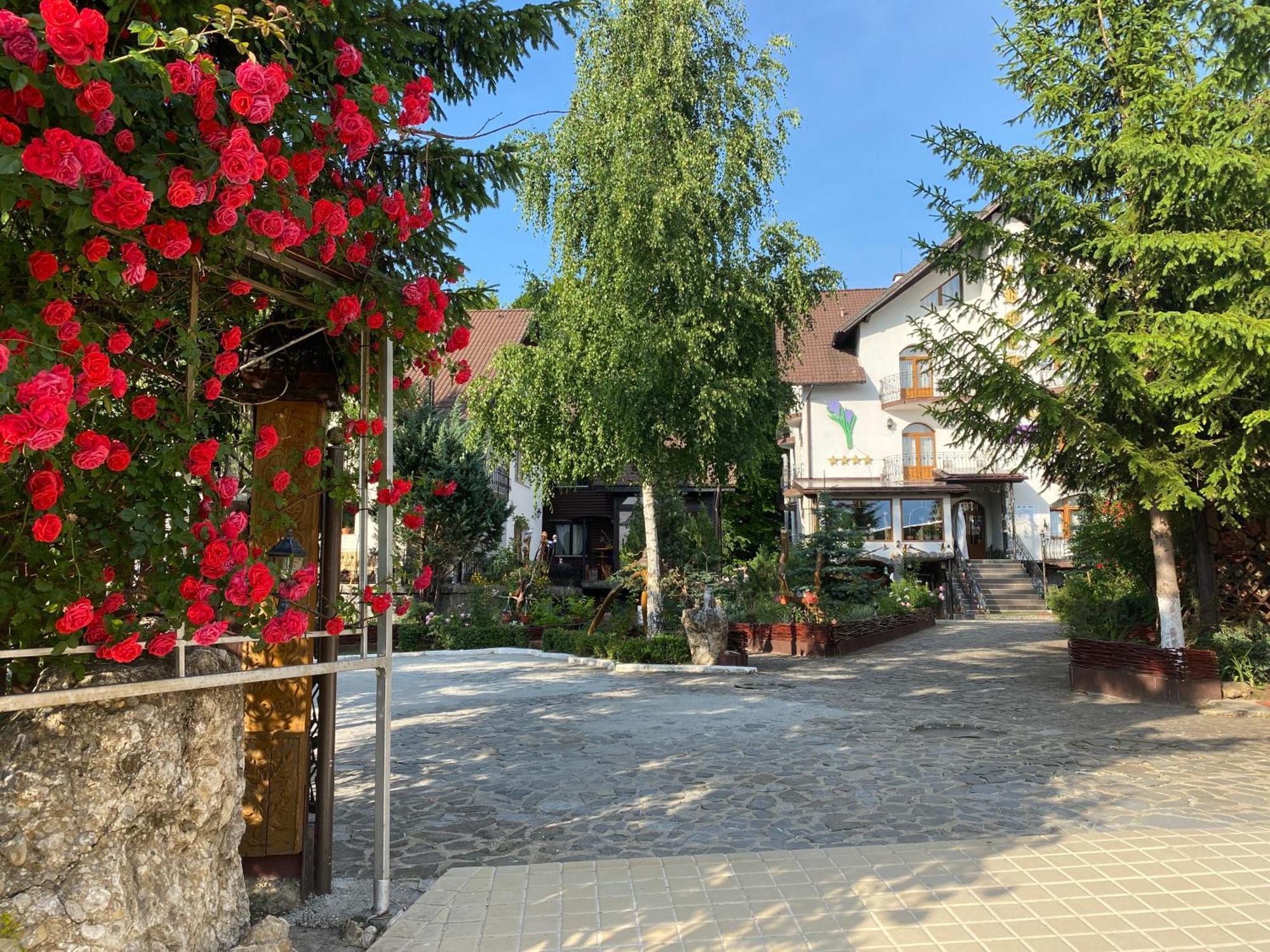 Pensiunea Crocus - Sauna & Billiard Poiana Brasov Exteriör bild