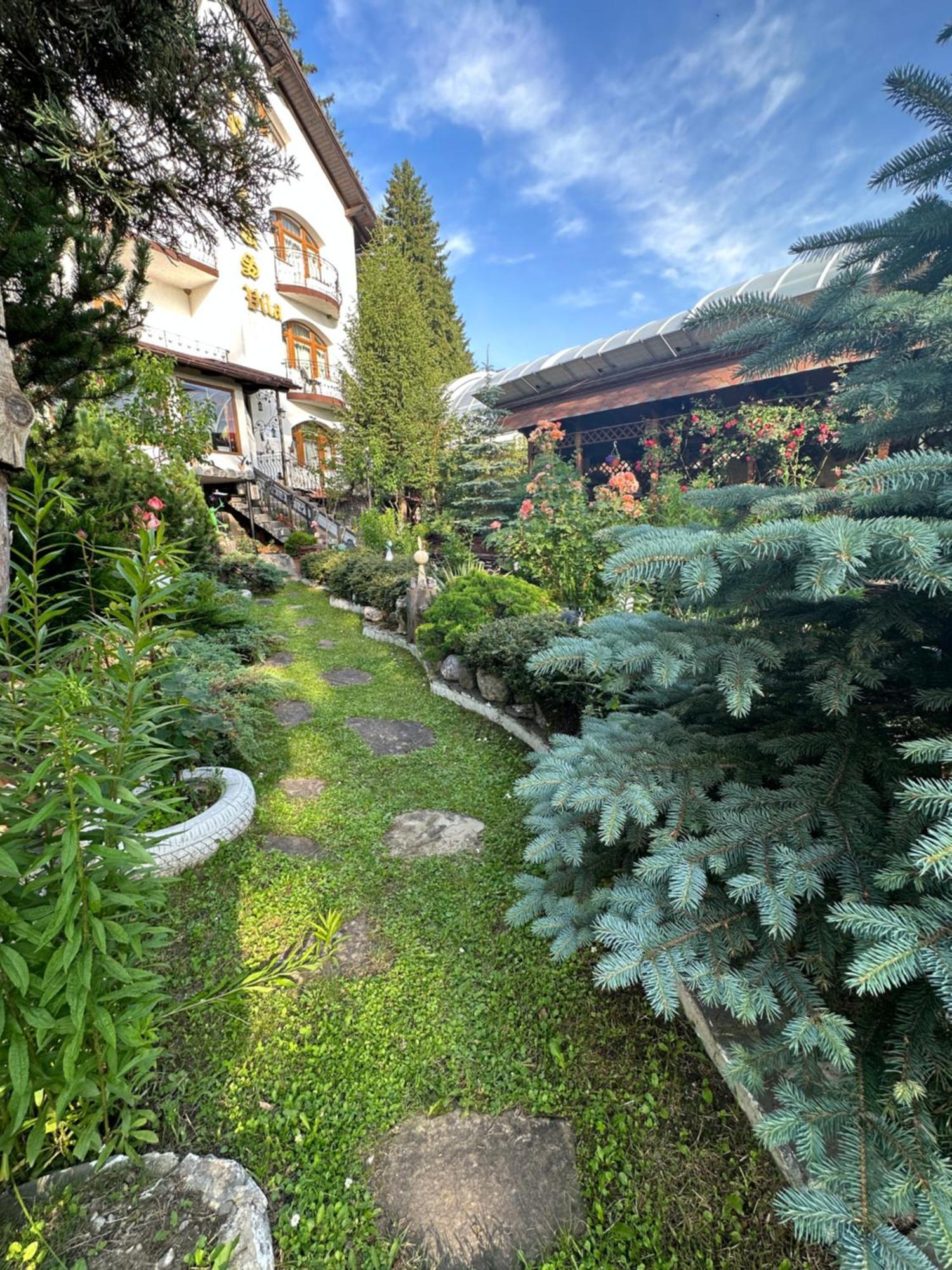 Pensiunea Crocus - Sauna & Billiard Poiana Brasov Exteriör bild