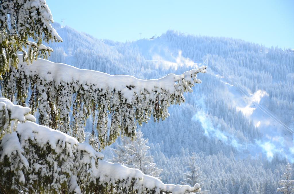 Pensiunea Crocus - Sauna & Billiard Poiana Brasov Exteriör bild